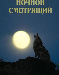 Ночной смотрящий - Дивов Олег