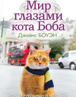 Уличный кот по имени Боб 02 Мир глазами кота Боба - Джеймс Боуэн
