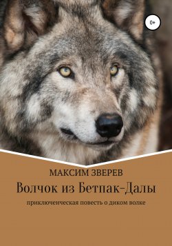 Волчок из Бетпак-Далы - Максим Зверев